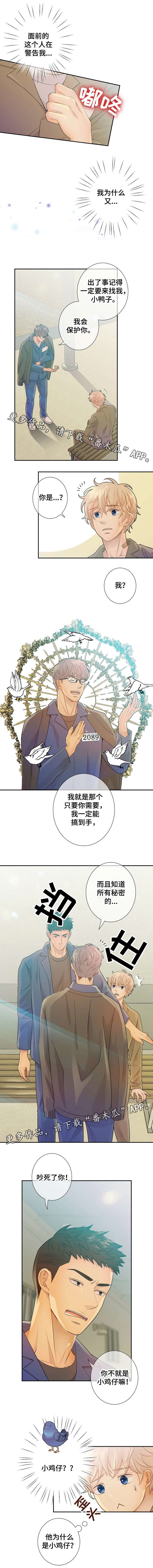 阿尔法监狱密室逃脱漫画,第30章：小鸡仔3图