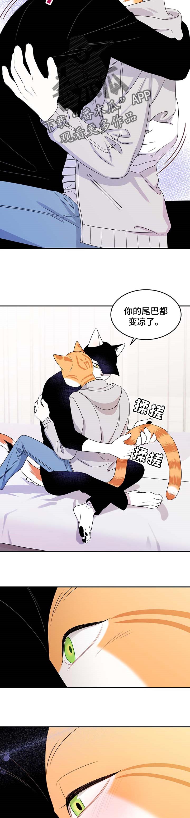 第20章：安心1
