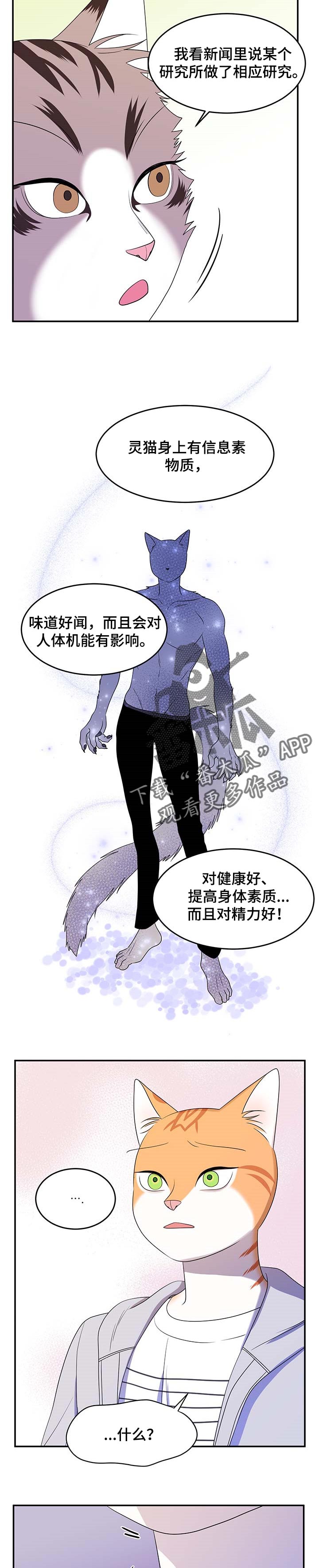 第18章：信息素2