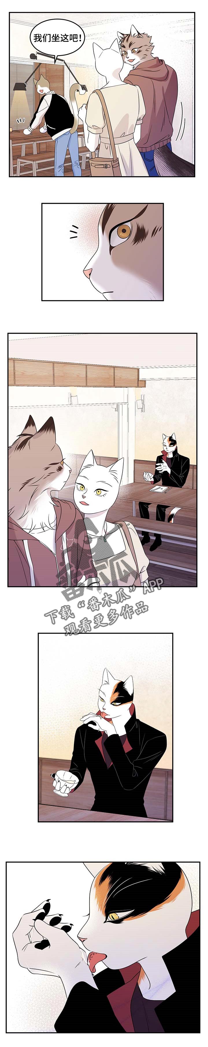 第22章：担心3