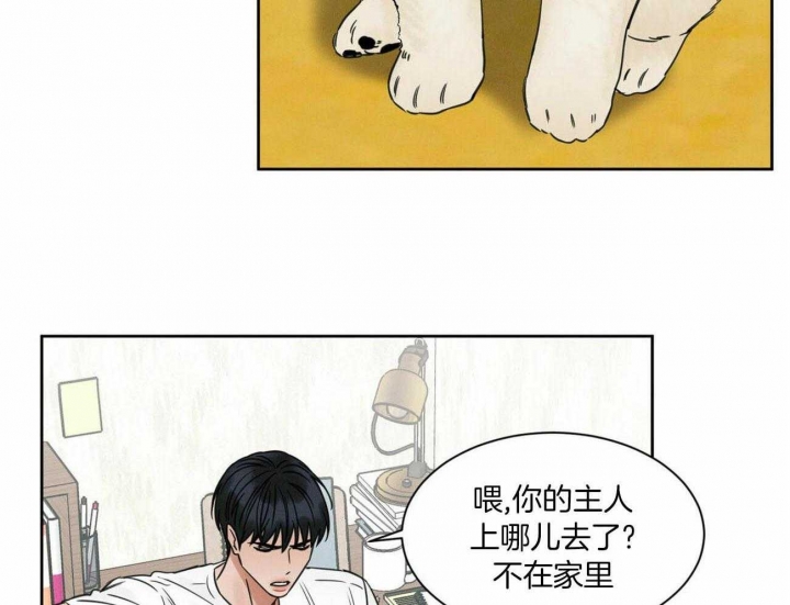 无边囚笼小说后续漫画,第84话4图