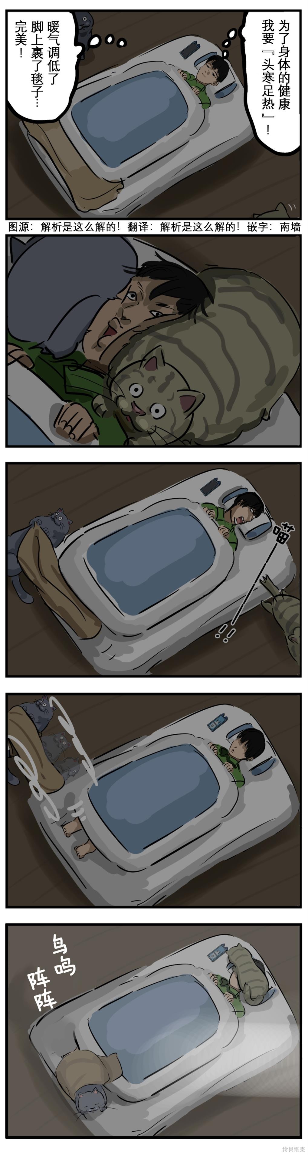 カコミスル老师四格合集漫画,主寒猫热1图
