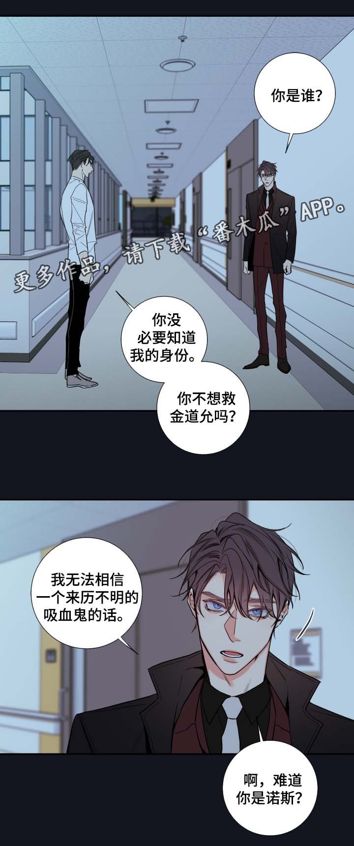 半血族漫画,第55章：赌一把1图