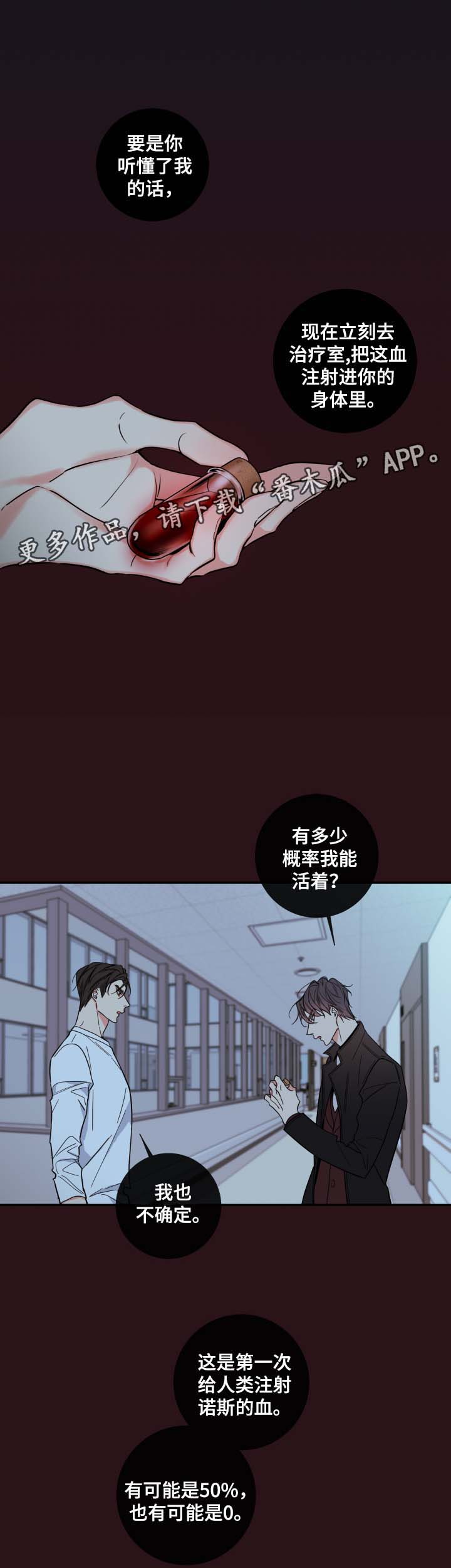 半血族漫画,第55章：赌一把3图