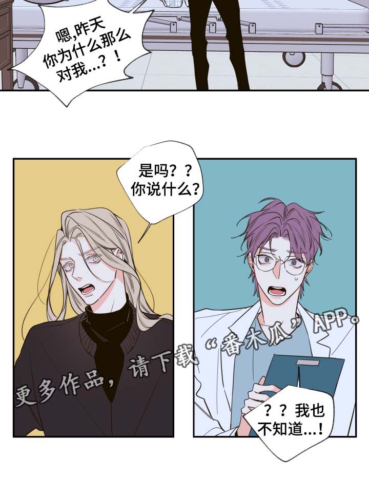 半血族漫画,第48章：一模一样的人2图