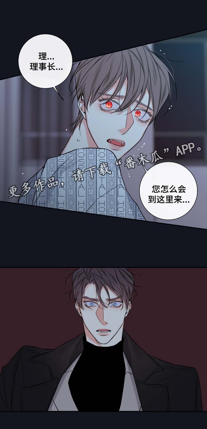 第41章：必须找到你0