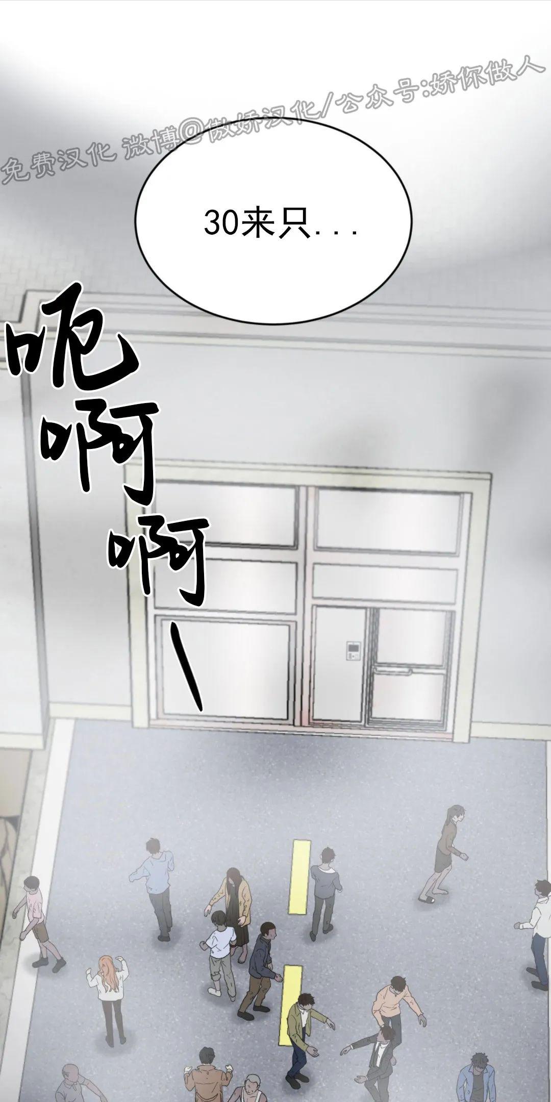 迷雾之中小说简介漫画,第12话1图