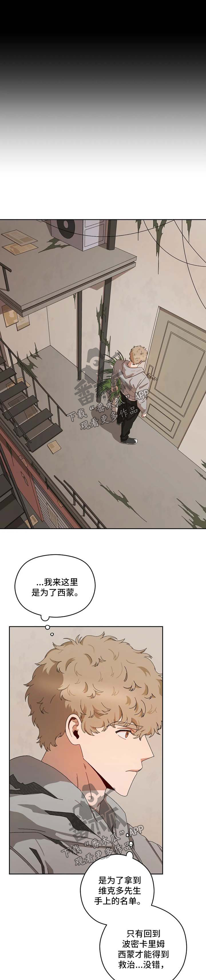 区域间谍韩漫结局漫画,第25章：只能这样5图