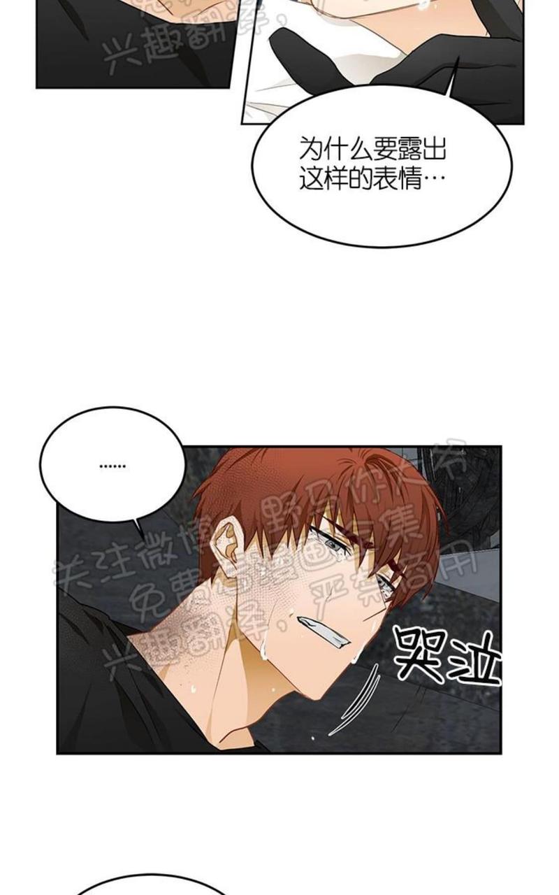 完美谎言的最后一句漫画,第5话4图