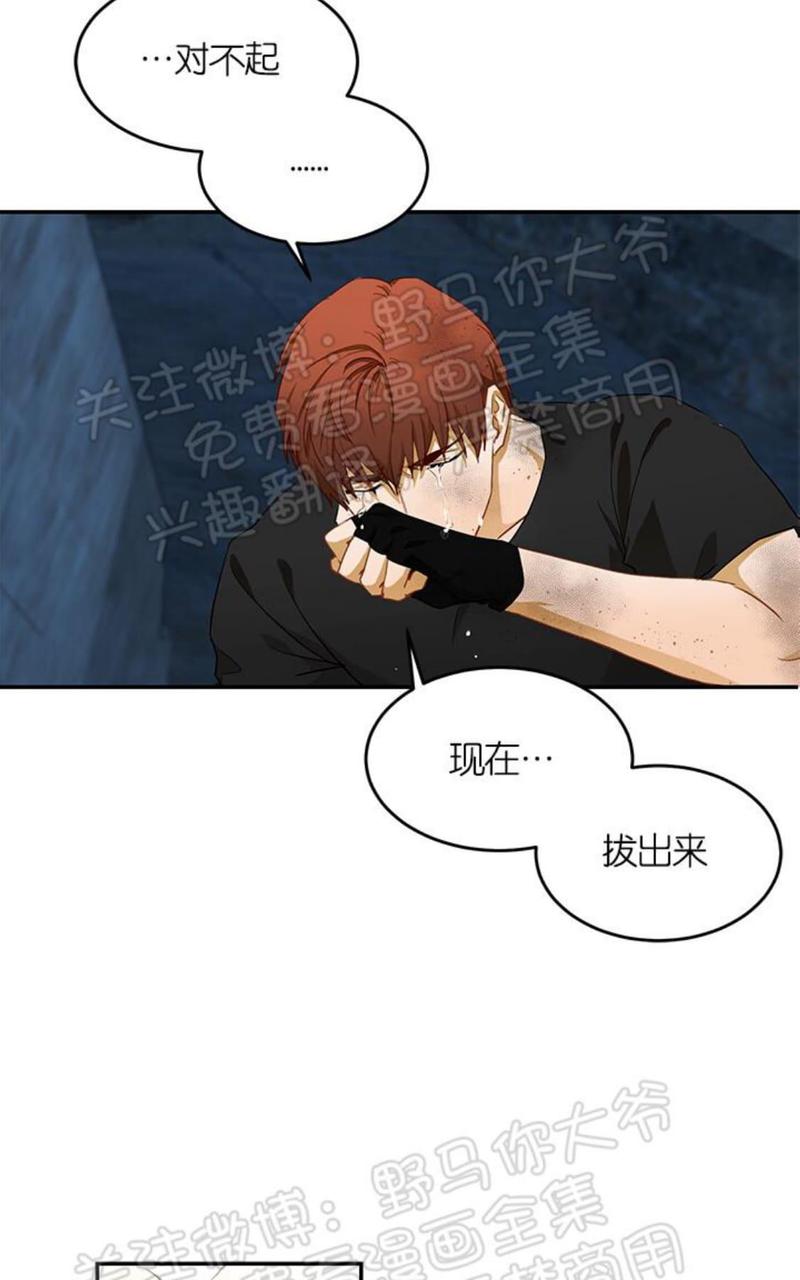 完美谎言的最后一句漫画,第5话5图