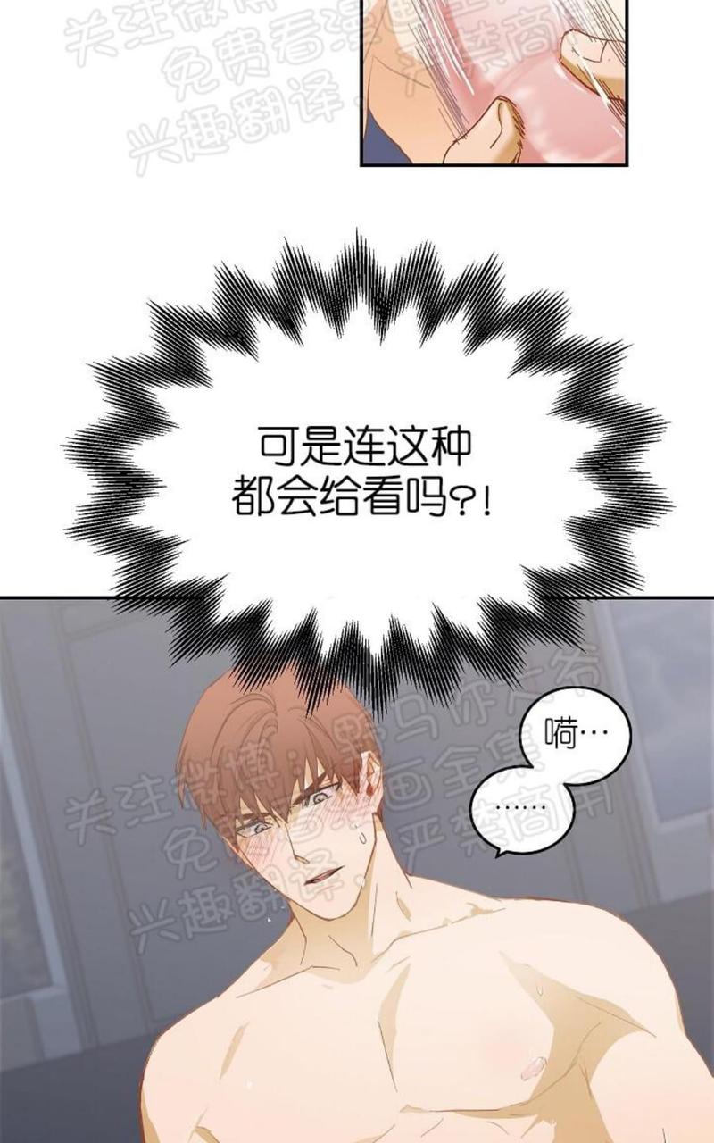 完美谎言家漫画非麻瓜免费观看漫画,番外 022图