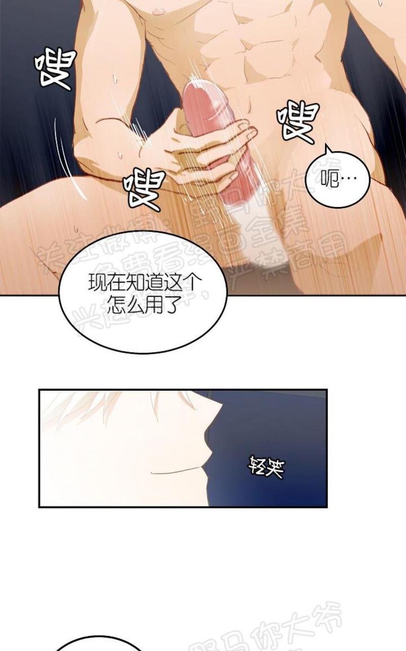 完美谎言家漫画非麻瓜免费观看漫画,番外 023图