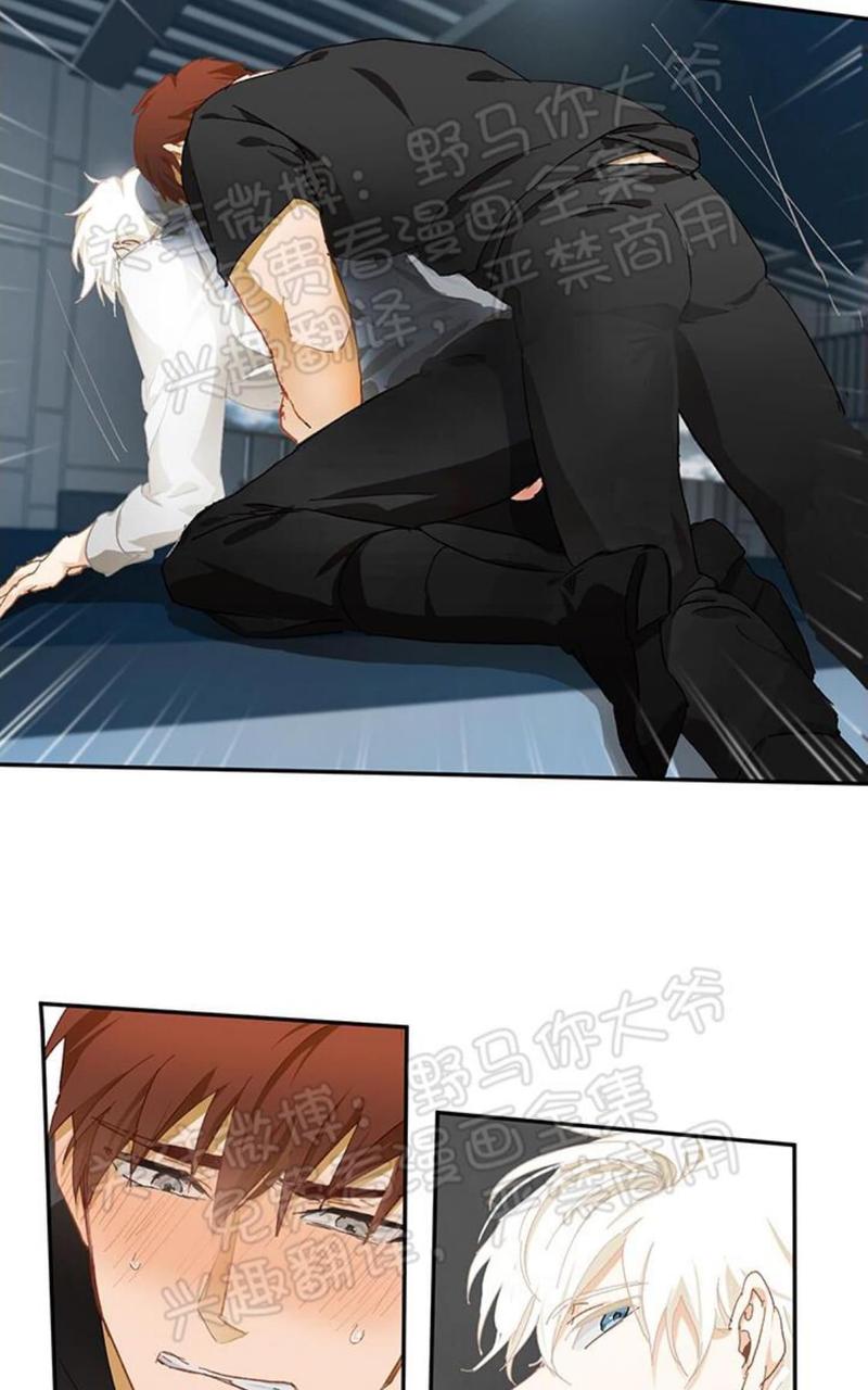 完美谎言漫画,番外 012图