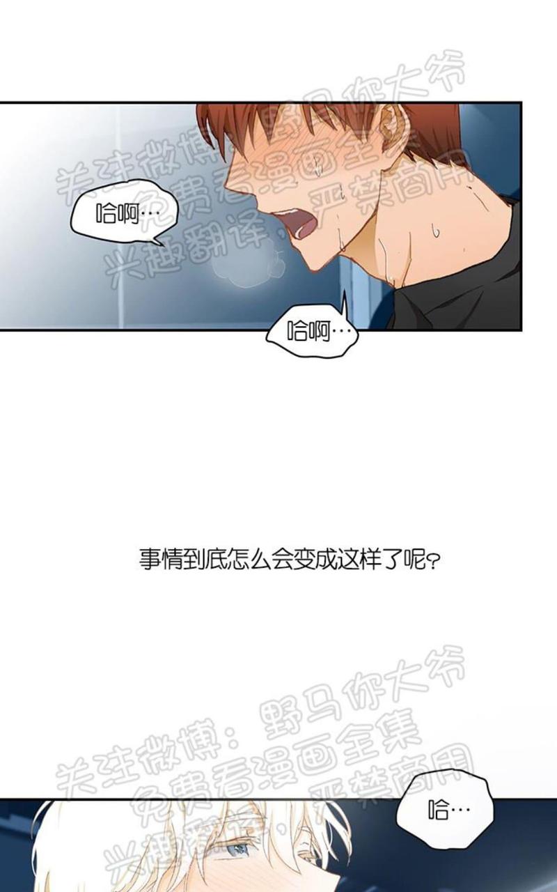 完美谎言漫画,番外 011图