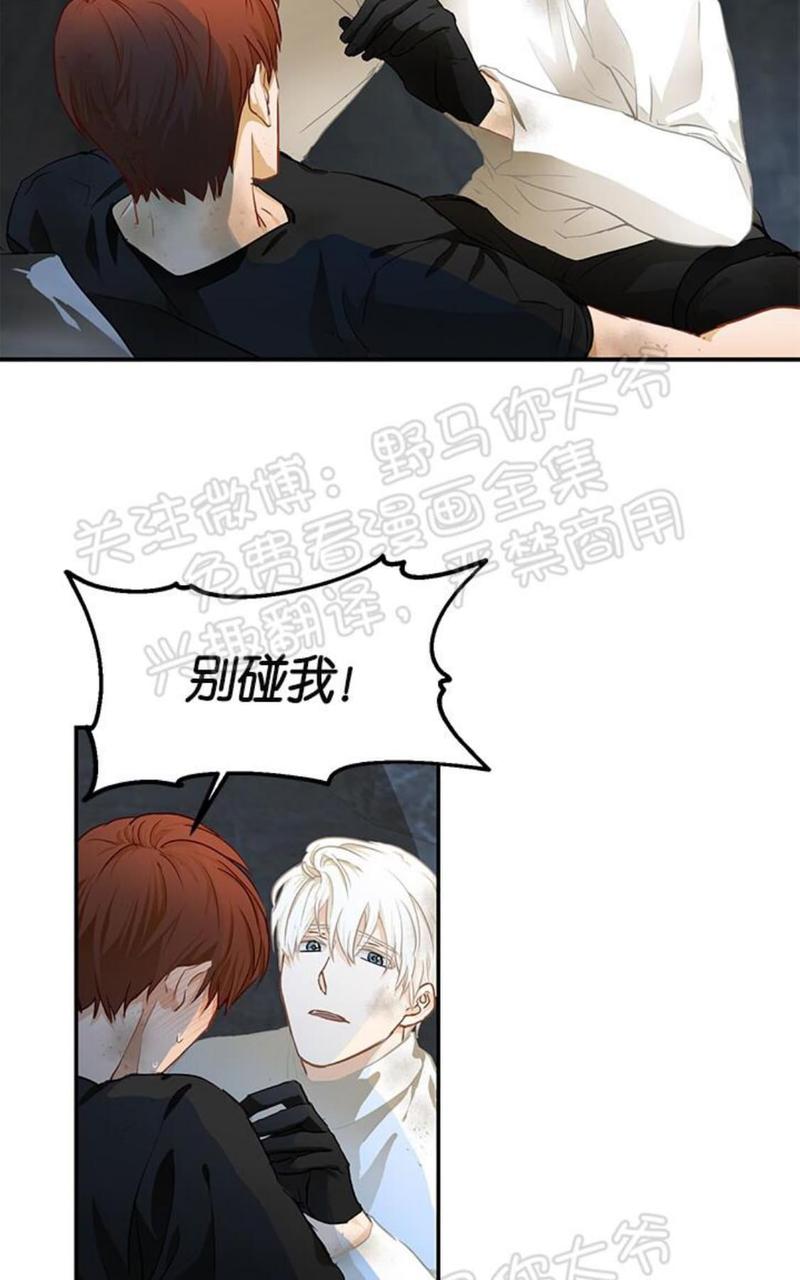 完美谎言的最后一句漫画,第4话4图