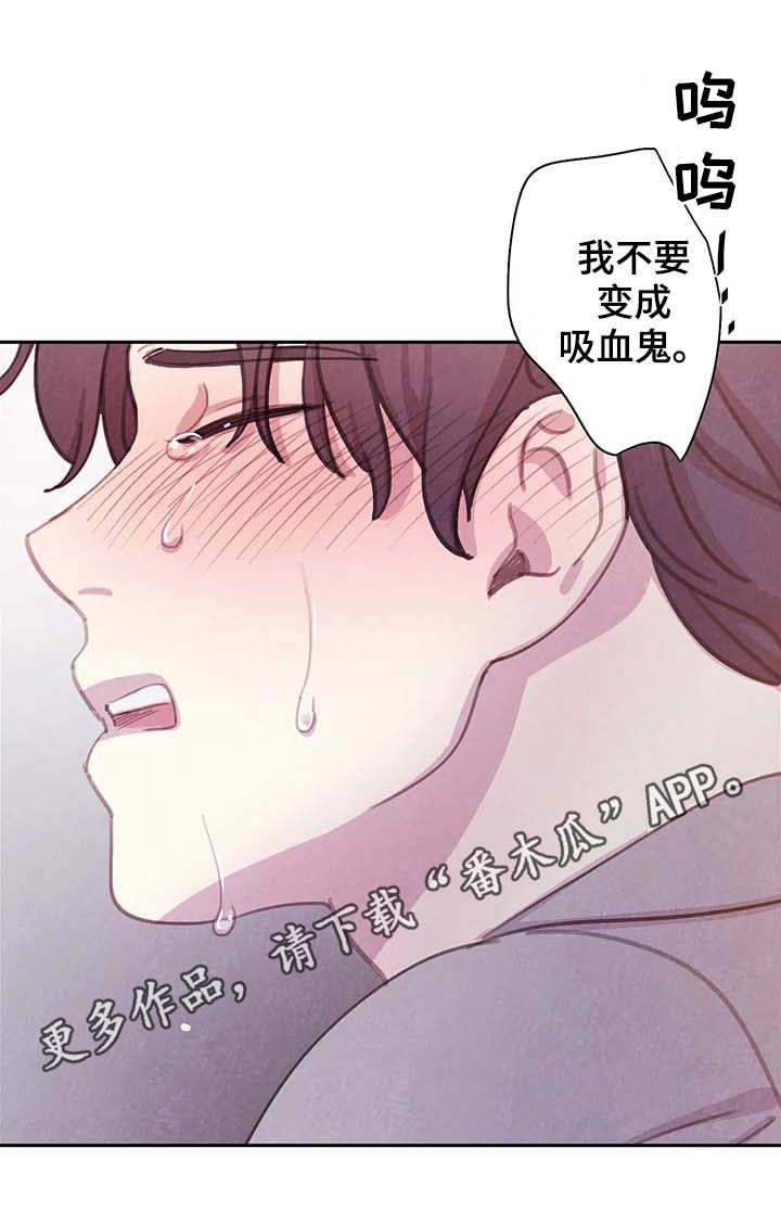 浴血阻击电影免费在线观看免费版星辰影院漫画,第51章：更加的绝望（第一季完结）1图