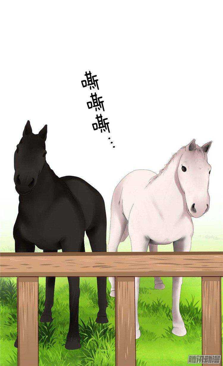 第35话 挑选坐骑1
