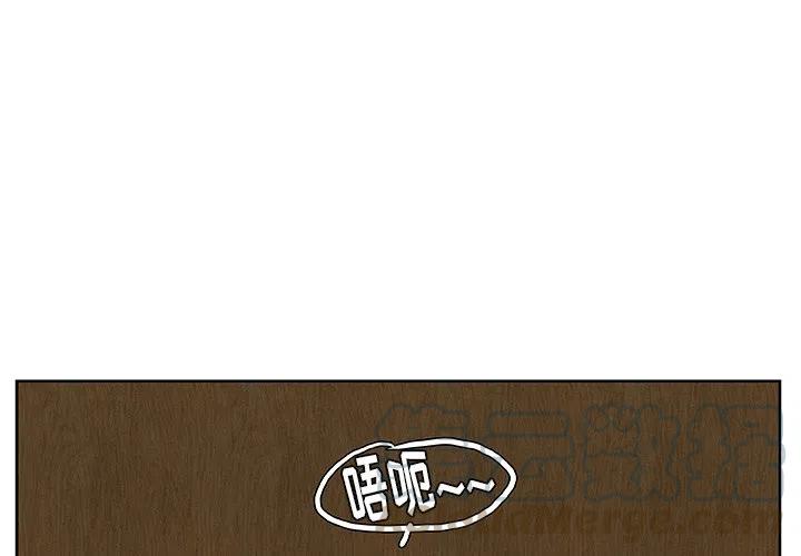 虎伴日月神漫画,154图