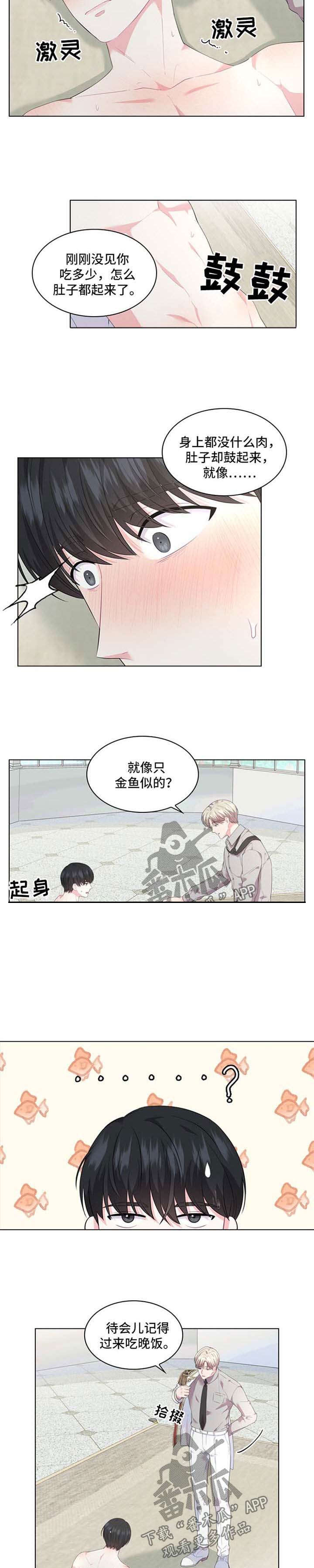 皇室血脉漫画免费阅读下拉式六漫画漫画,第28章：金鱼似的2图