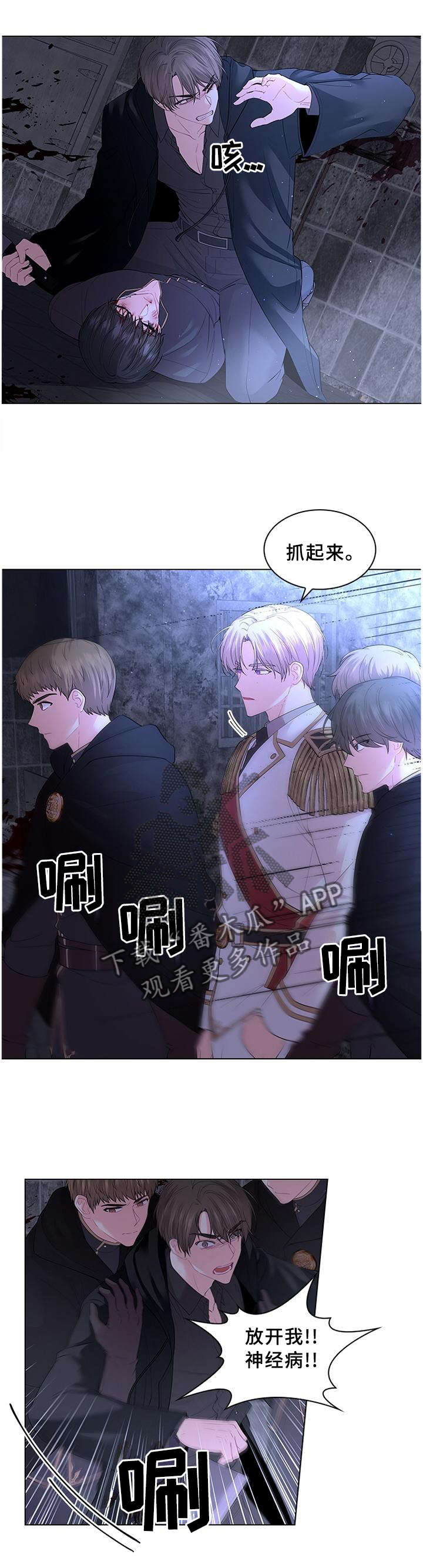 皇室血脉小说全文免费阅读漫画,第69章：救援1图