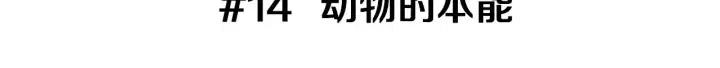第14话 动物的本能2