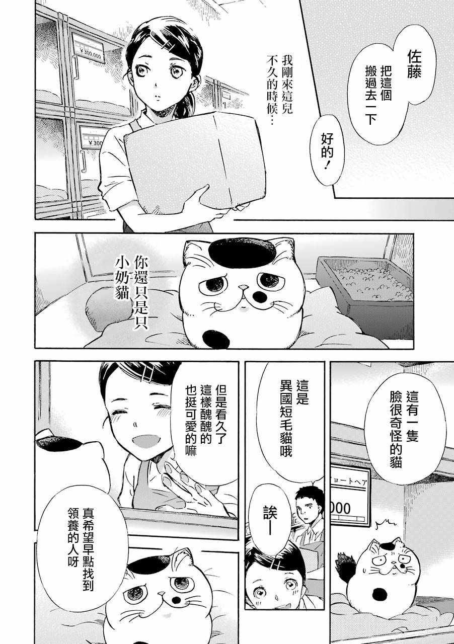 大叔与猫日剧在线观看漫画,第21话2图