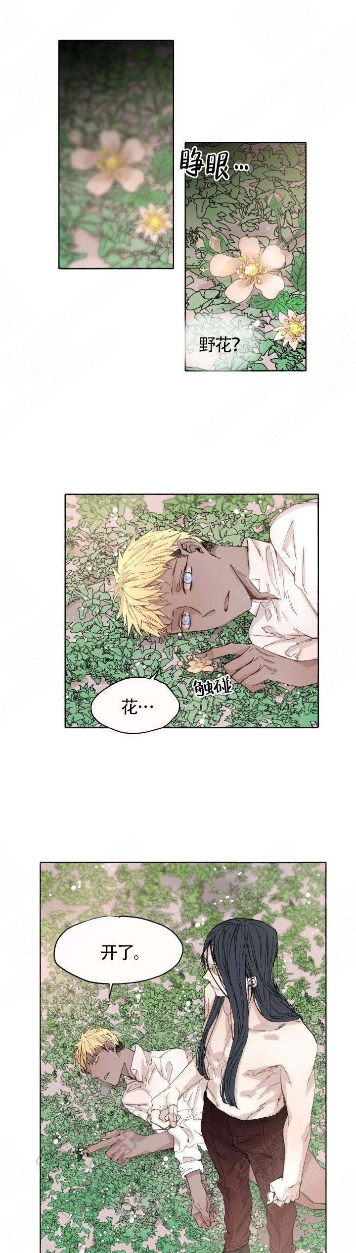 第51话0