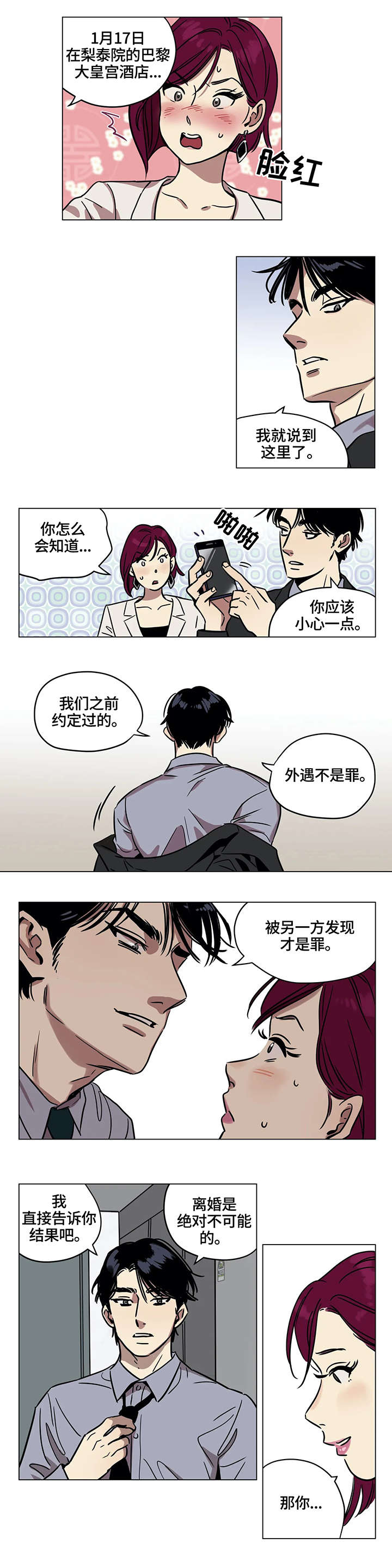 鸠占鹊巢斑鸠漫画,第2章：葬礼2图