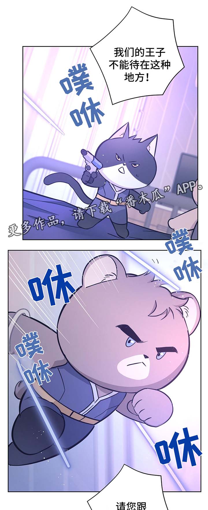 第31章：结婚4