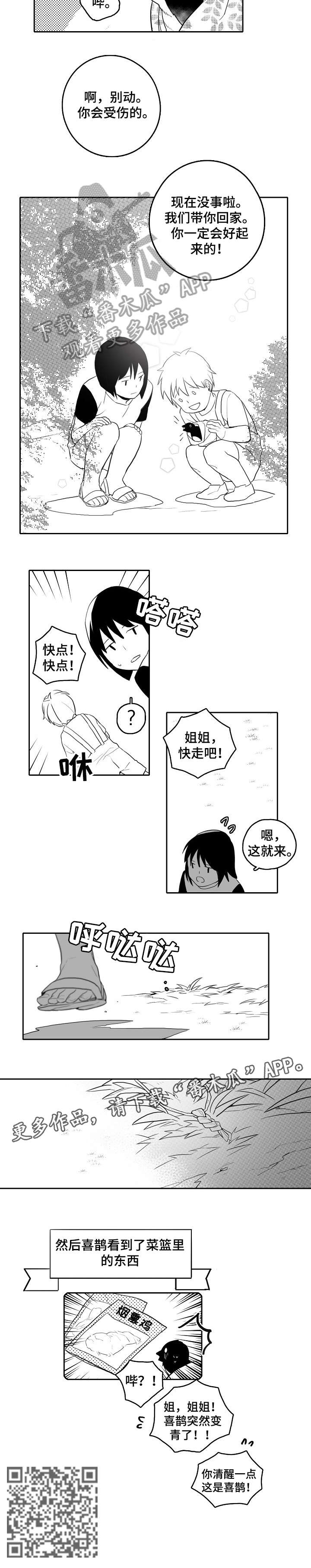 第19章：受伤1