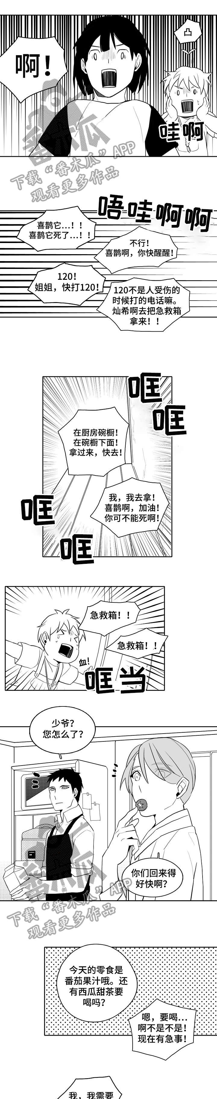 第20章：一起生活0