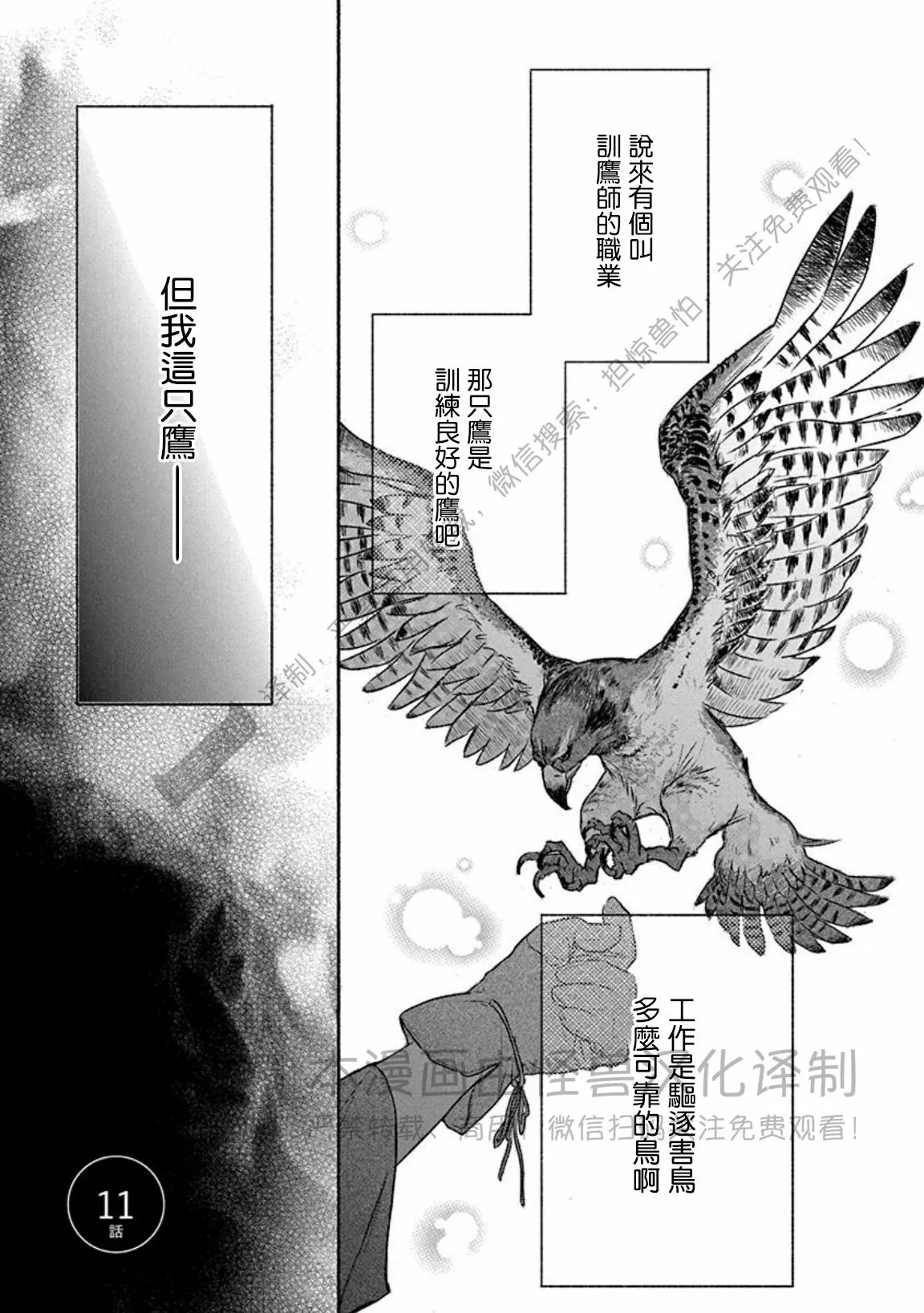 兔和虎相生吗漫画,第11话1图