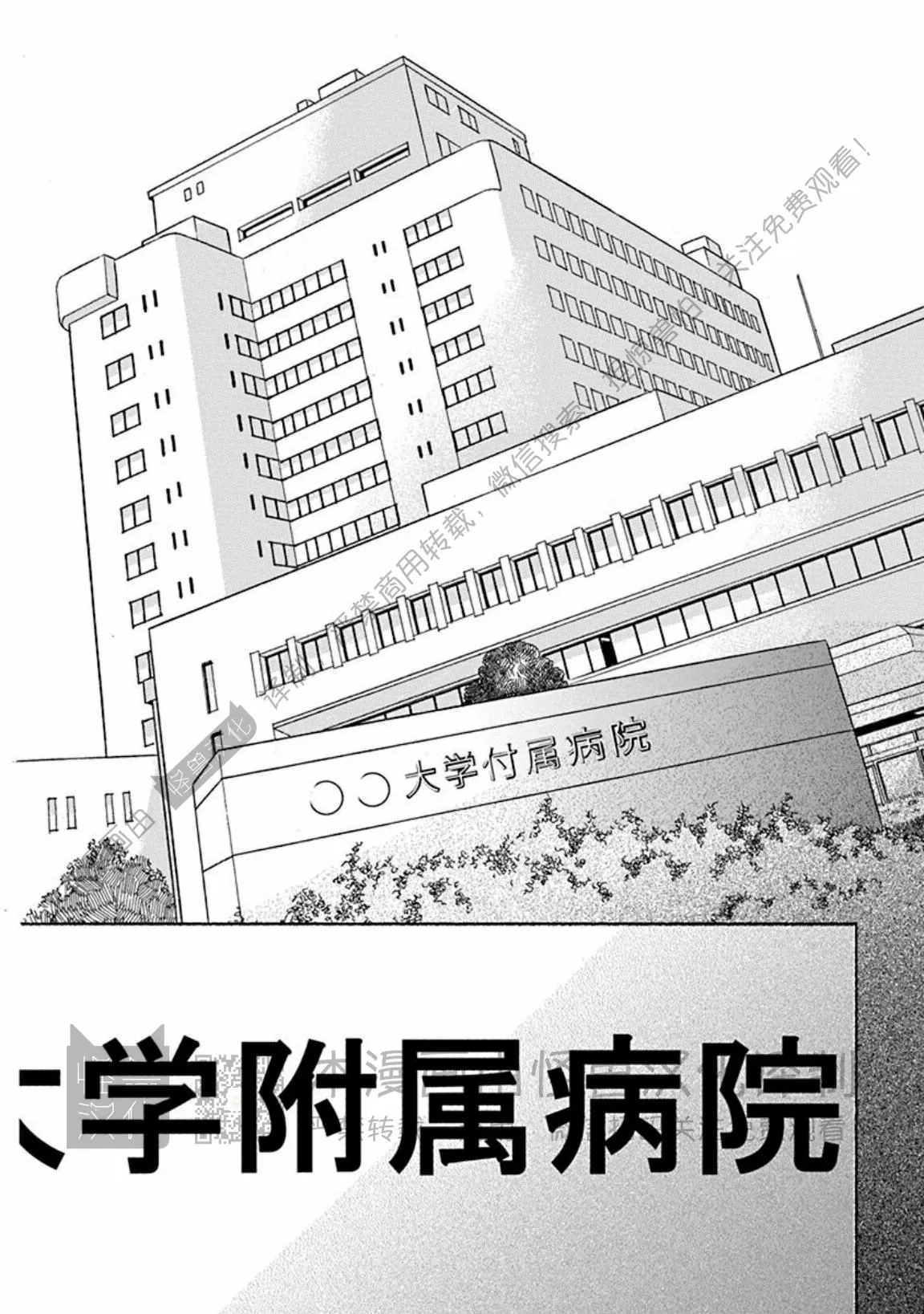 生肖兔与生肖虎相合吗漫画,番外25图