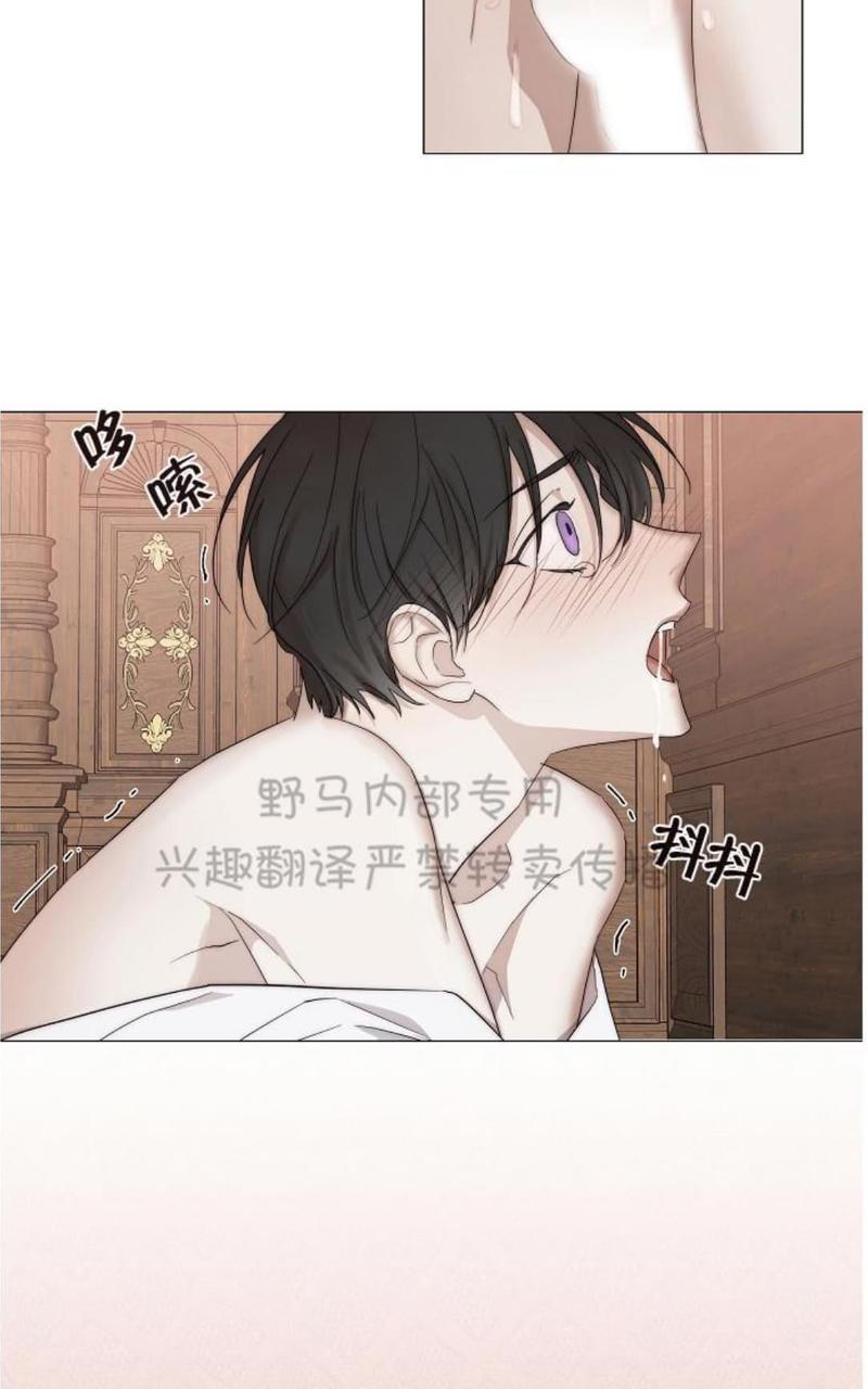 日食的形成视频漫画,第12话2图
