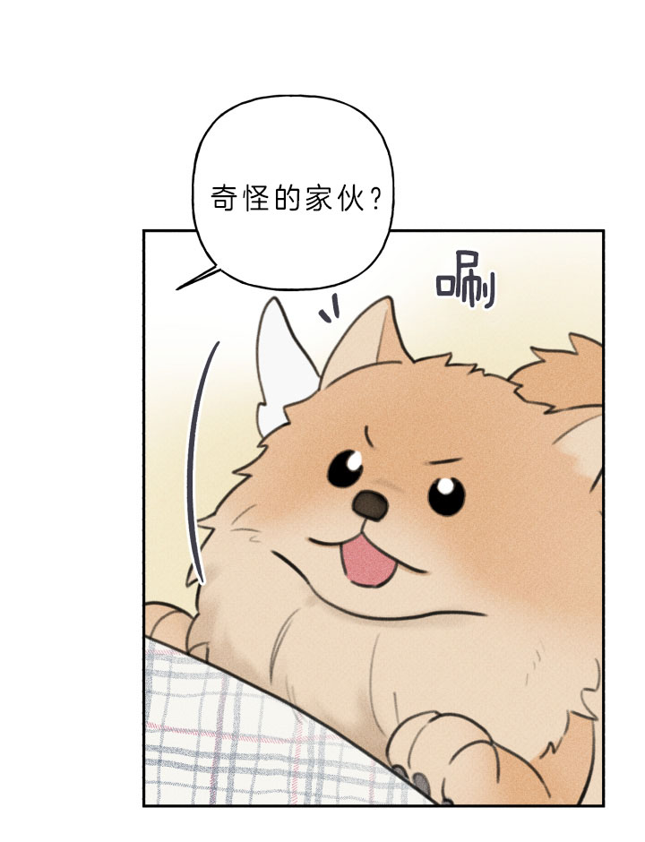 第148话4