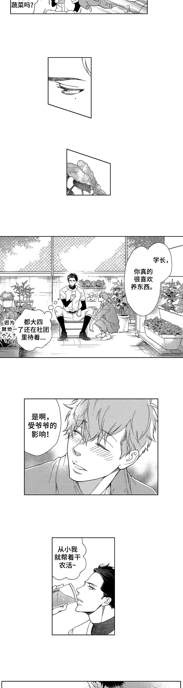 甜蜜与毒药漫画,第2章：收获4图