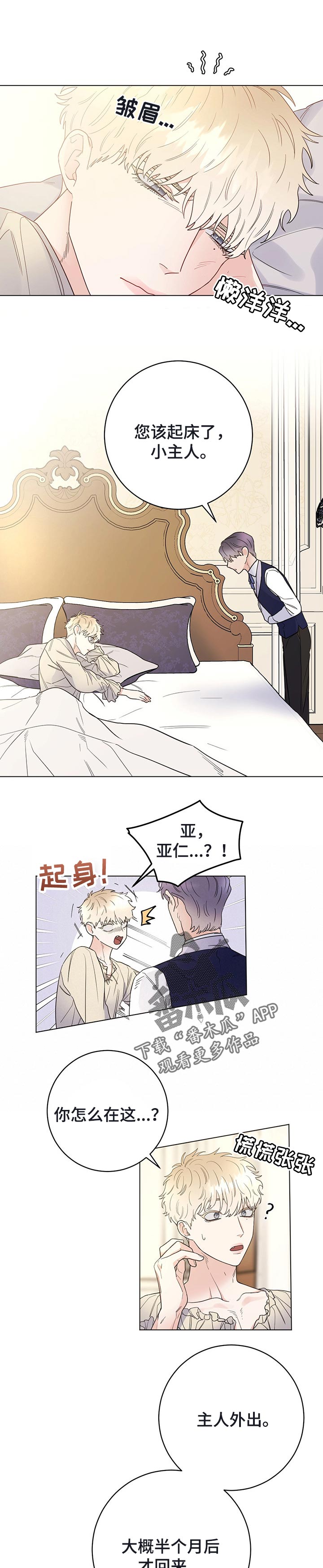 我成了主人的宠物漫画,第42章：无事发生5图