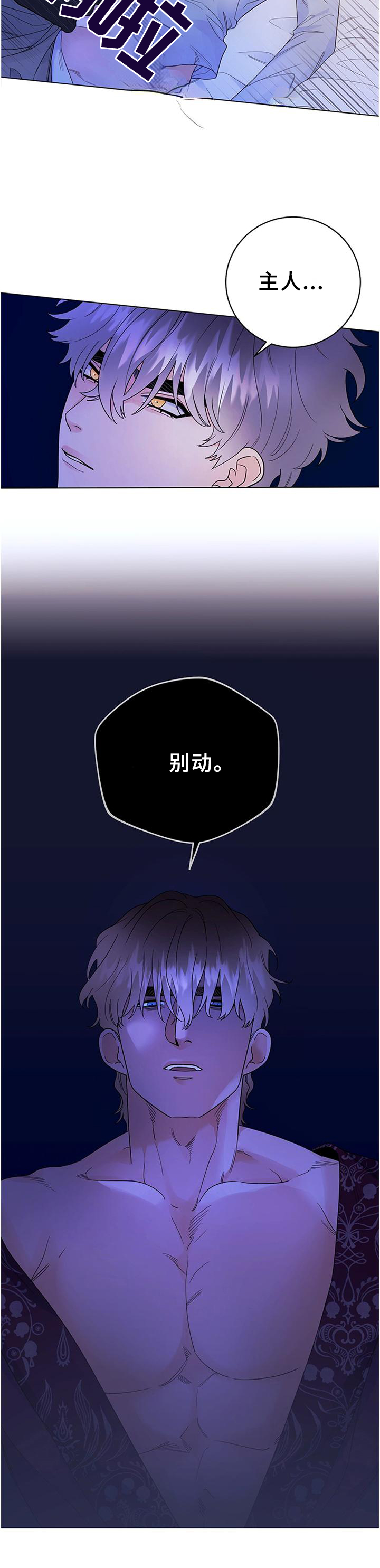 我成了主人的宠物漫画,第29章：归来4图
