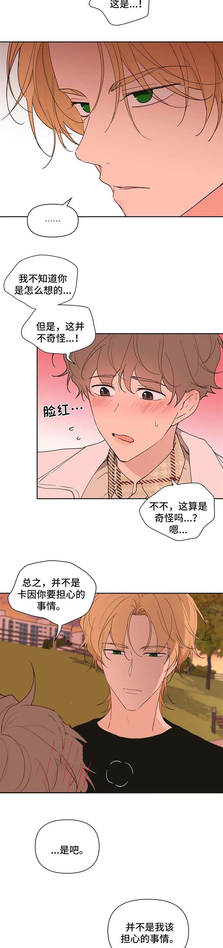 主人的私情完结漫画,第73话4图