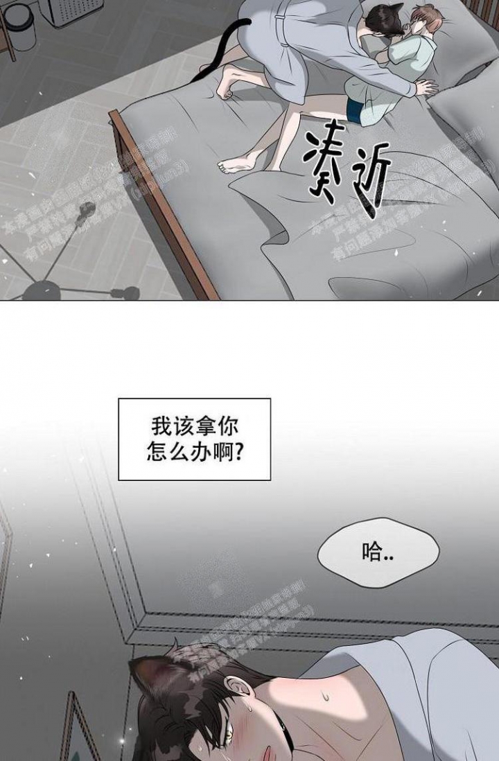 非凡的领航2024第一集第二集漫画,第17话5图