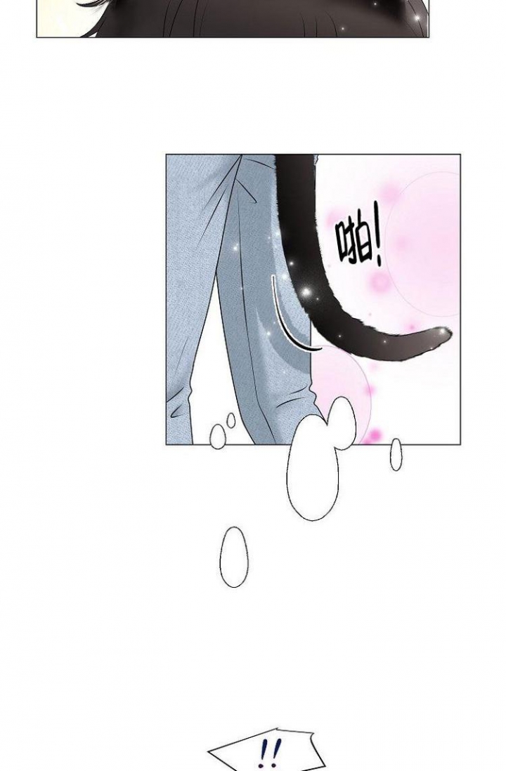 非凡的快乐生活最新视频直播漫画,第3话3图