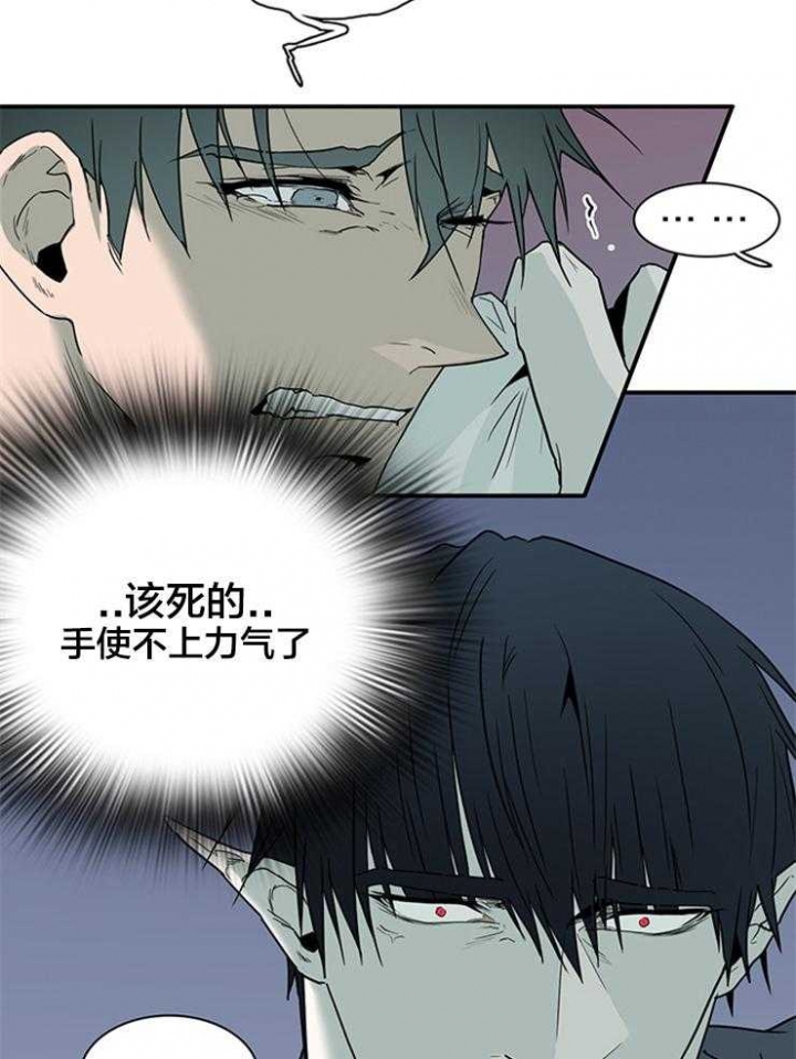 第180话1