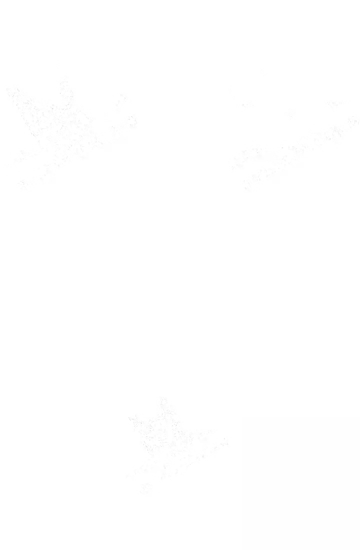 第13话3