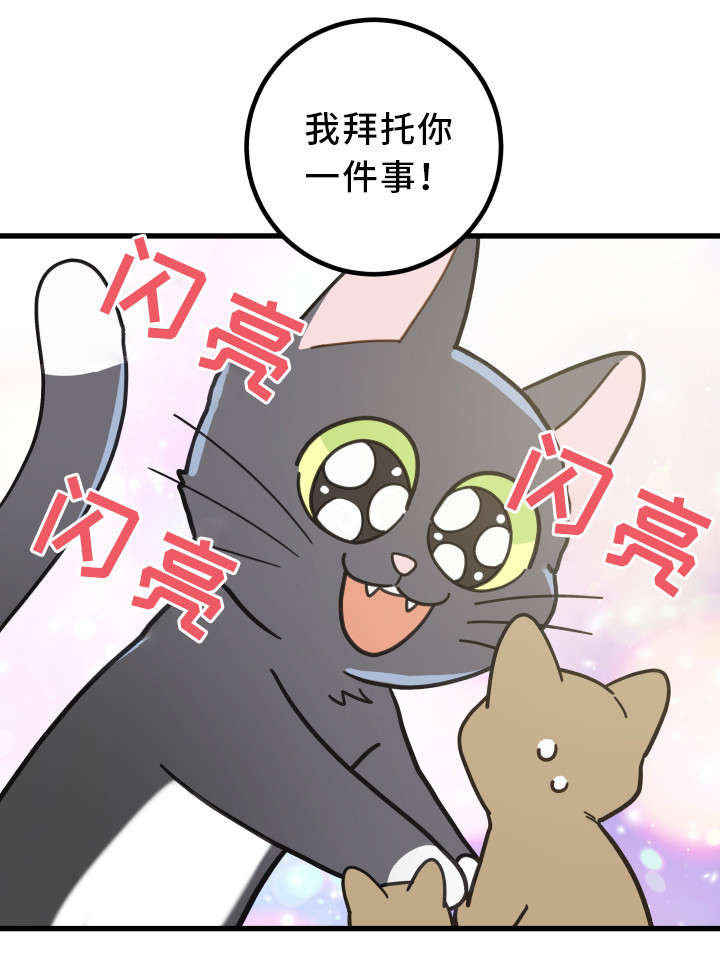 第32章：晕倒4