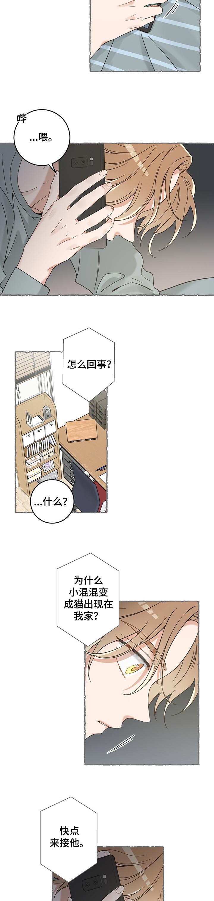 亲爱的喵君漫画里的黑色盒子叫什么漫画,第99章：撒气4图