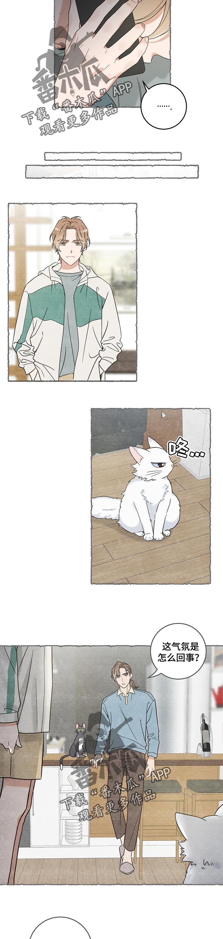 亲爱的喵君漫画里的黑色盒子叫什么漫画,第99章：撒气5图