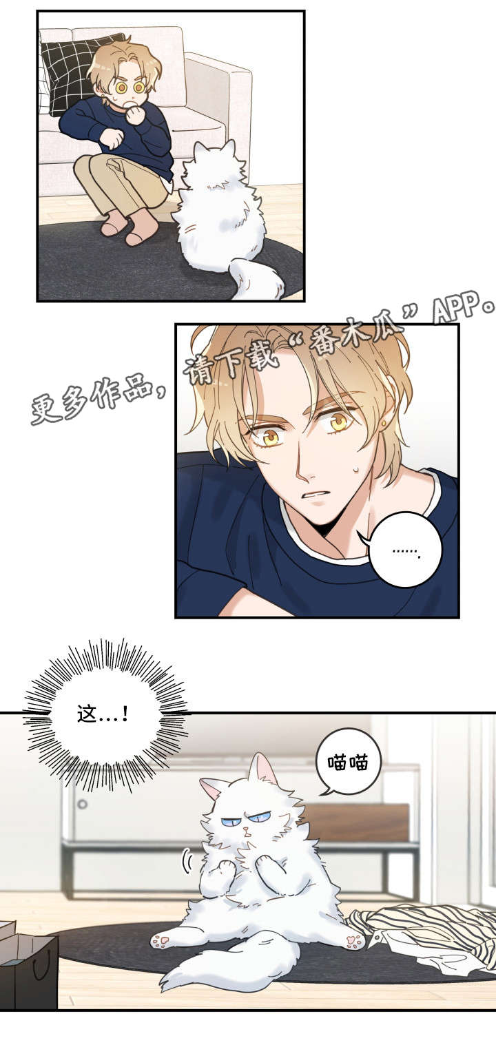 亲爱的你在哪里原唱漫画,第10章：负责到底1图