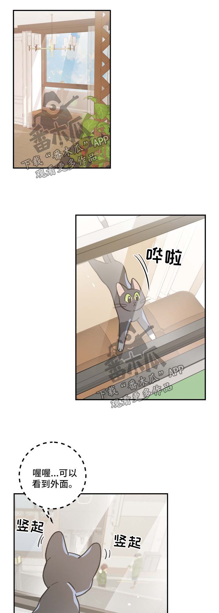 亲爱的喵君漫画,第44章：快乐生活5图
