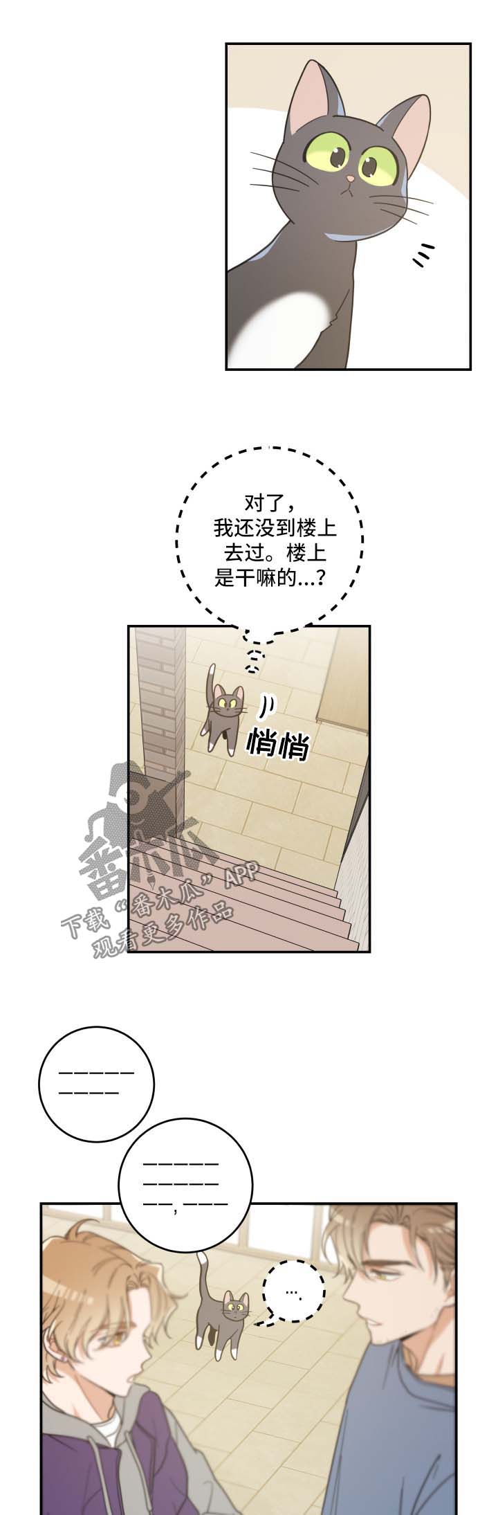 亲爱的喵君漫画,第44章：快乐生活2图