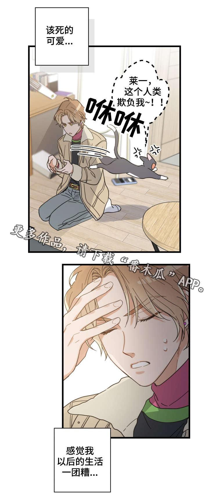 第42章：臭猫4